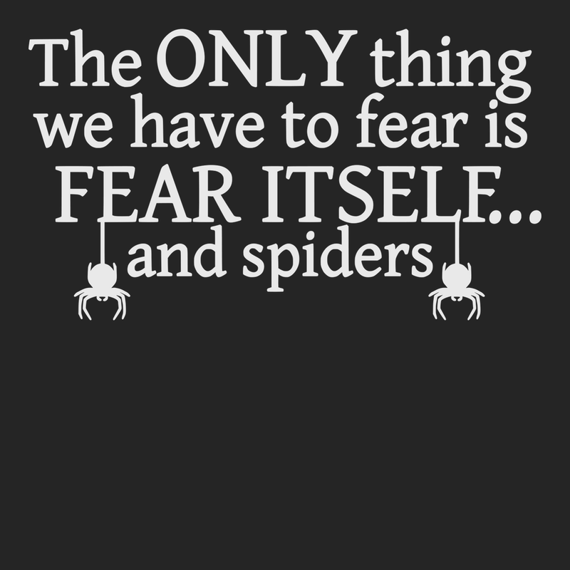 The Only Thing We Have To Fear Is Fear Itself And Spiders T-Shirt BLACK