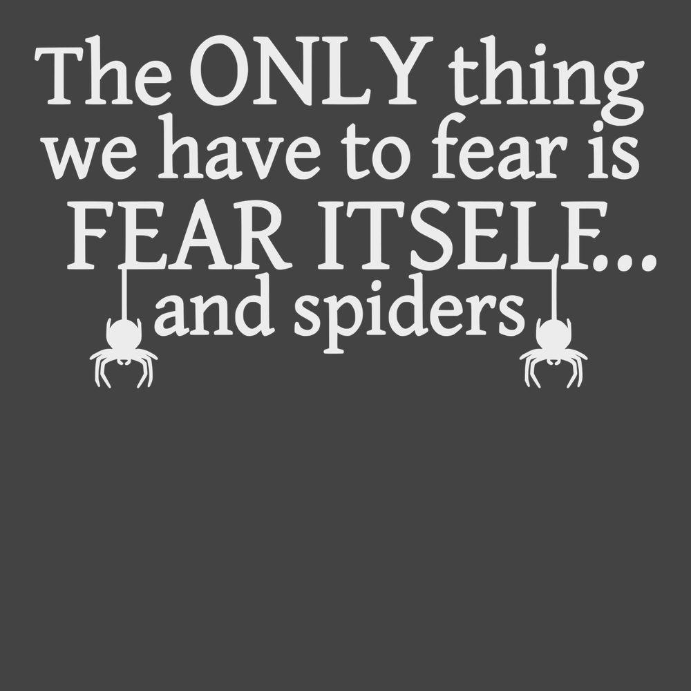 The Only Thing We Have To Fear Is Fear Itself And Spiders T-Shirt CHARCOAL