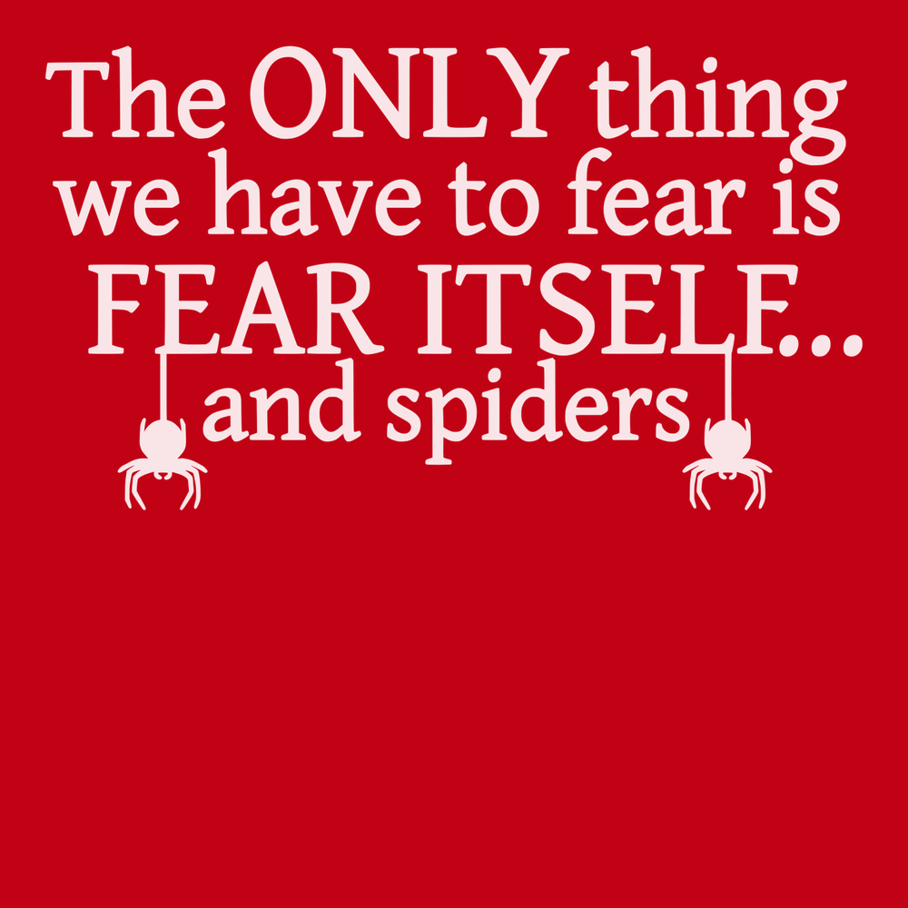 The Only Thing We Have To Fear Is Fear Itself And Spiders T-Shirt RED