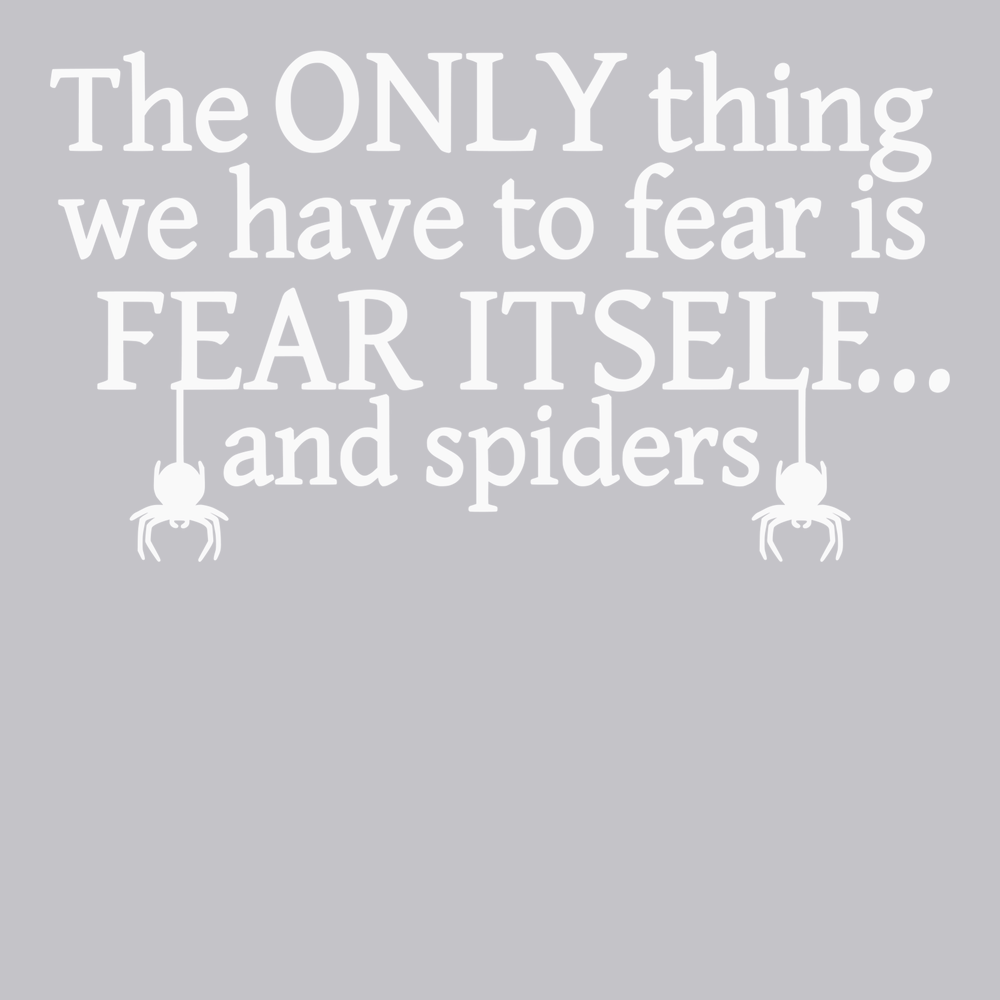 The Only Thing We Have To Fear Is Fear Itself And Spiders T-Shirt SILVER
