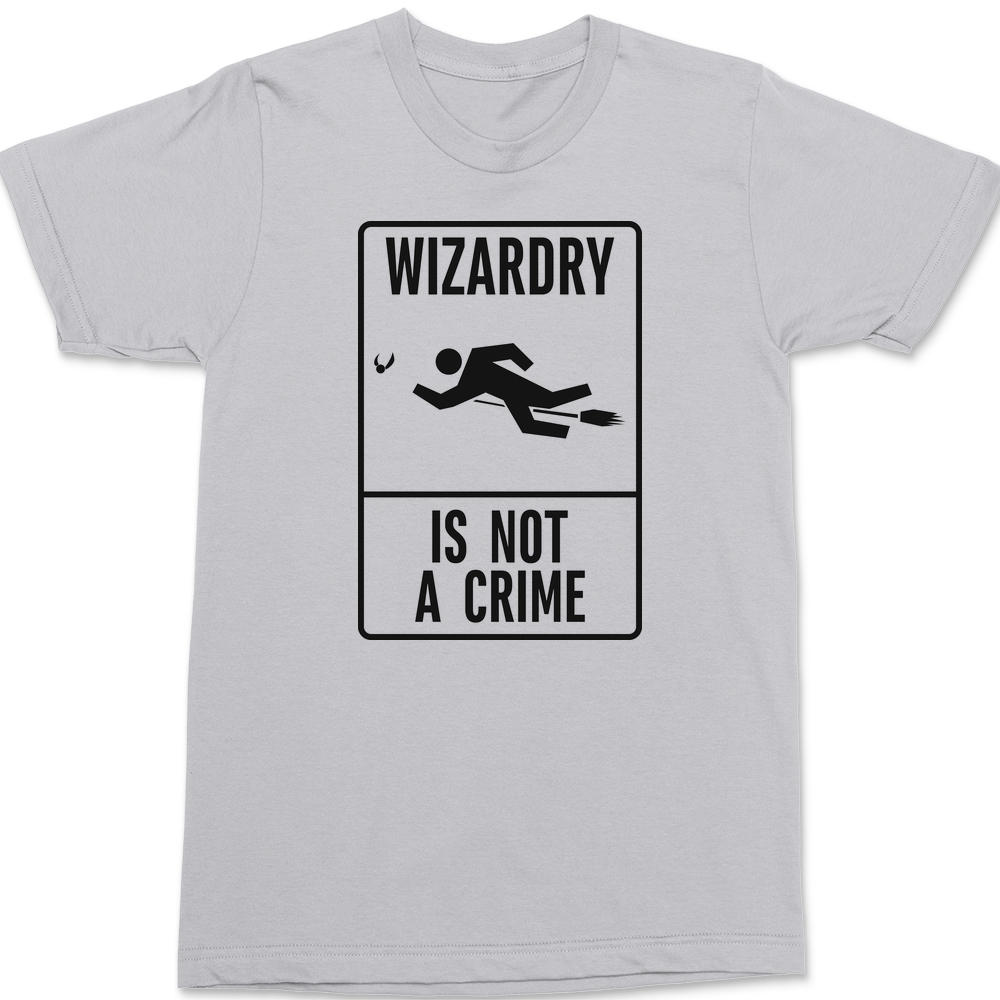 Wizardry is not a crime T-Shirt SILVER