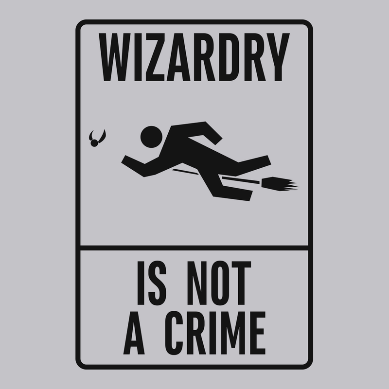 Wizardry is not a crime T-Shirt SILVER