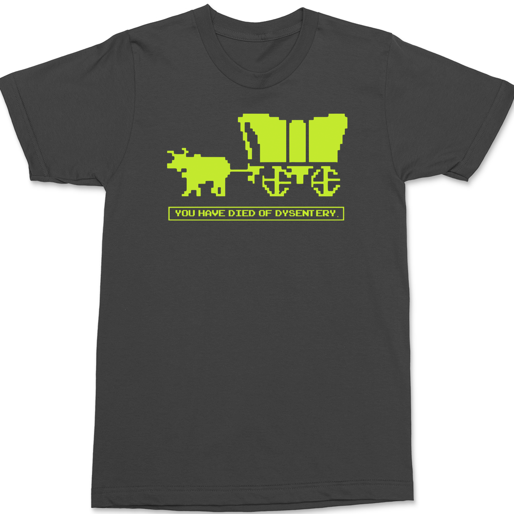 You Have Died of Dysentery T-Shirt CHARCOAL