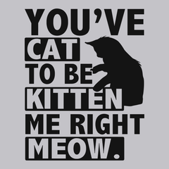 You've Cat To Be Kitten Me Right Meow T-Shirt SILVER