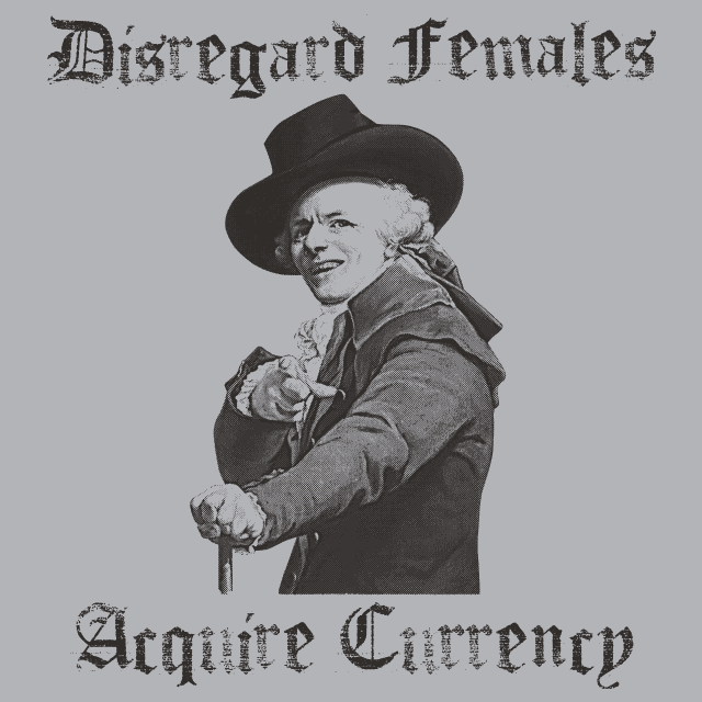 Disregard Females Acquire Currency T-Shirt - Textual Tees