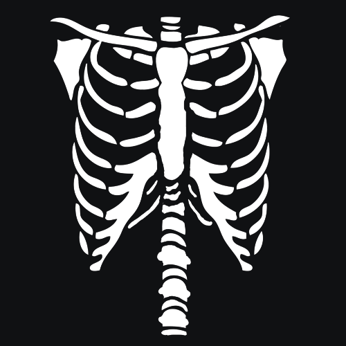 Halloween Skeleton T-Shirt Costume - Textual Tees