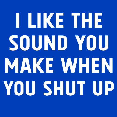 I Like The Sound You Make When You Shut Up T-Shirt - Textual Tees