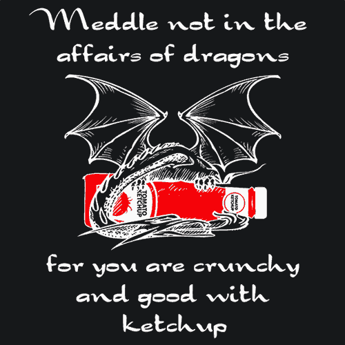 Meddle Not In The Affairs Of Dragons T-Shirt - Textual Tees