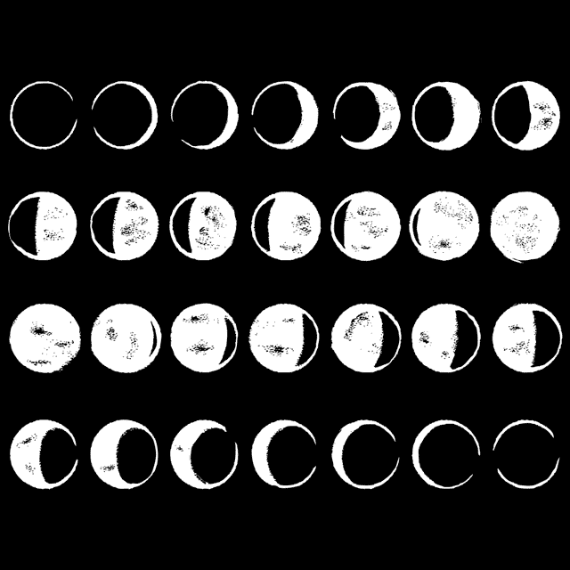 Phases of the Moon T-Shirt - Textual Tees