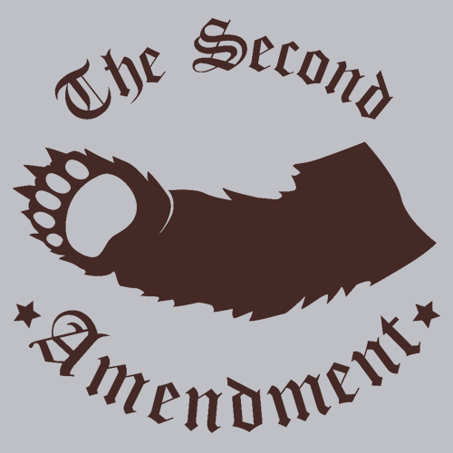 The Second Amendment T-Shirt - Textual Tees
