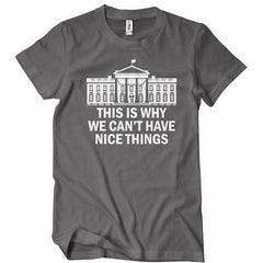 This Is Why We Can't Have Nice Things T-Shirt - Textual Tees