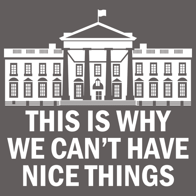 This Is Why We Can't Have Nice Things T-Shirt - Textual Tees