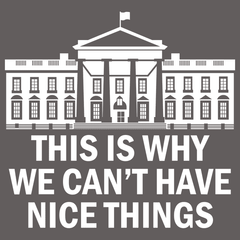 This Is Why We Can't Have Nice Things T-Shirt - Textual Tees