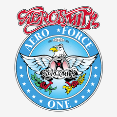 Aerosmith Aero Force One graphic for the Wayne's World Garth T-shirt