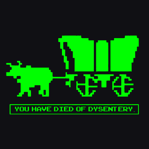 You Have Died Of Dysentery T-shirt Tees Funny - Gaming - Geek Nerd ...