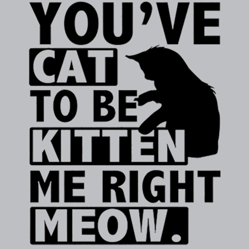 You've Cat To Be Kitten Me Right Meow T-Shirt - Textual Tees