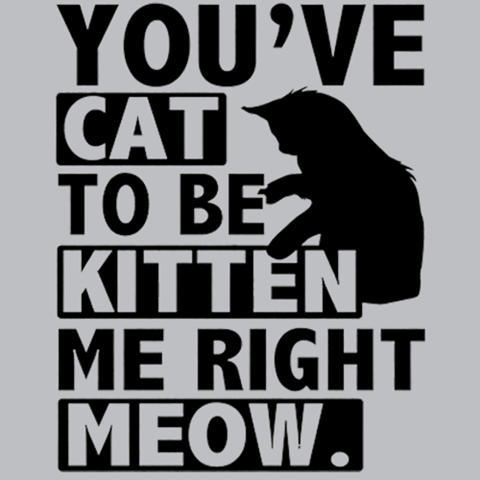You've Cat To Be Kitten Me Right Meow T-Shirt - Textual Tees